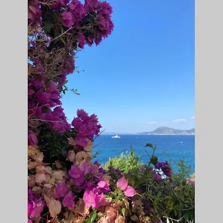 Tra Mare E Tramonti *